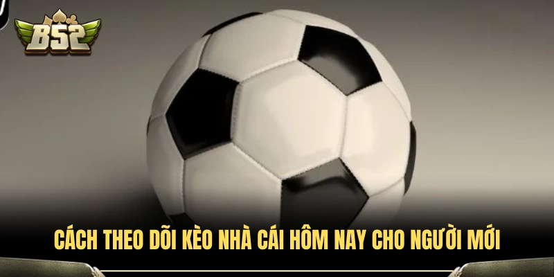 Cách xem và đọc bảng kèo nhà cái chuẩn xác tại B52